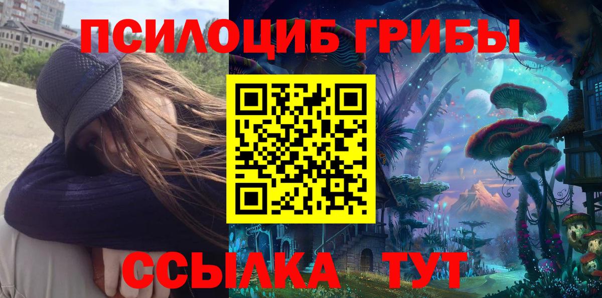 Чебаркуль  наркота  Вход с VPN  Псилоцибиновые грибы Magic Shrooms  Псилоцибиновые грибы ЛСД 